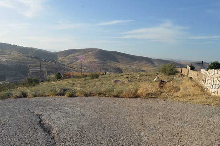 أرض 48 دونم للبيع في بيرين الخله