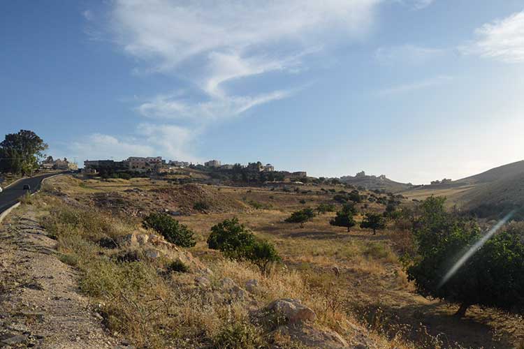 أرض مساحتها  2000 م للبيع  في شفابدران ام العروق