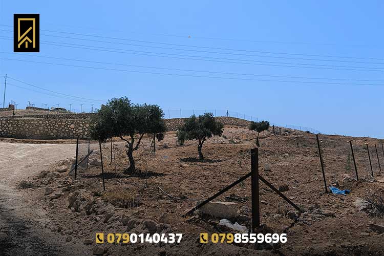 أرض 793 م للبيع في أم رمانة حوض المعمر على شارعين