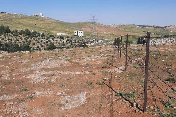 قطعة أرض 14 دونم  للبيع في زينات الربوع ( كاملة / مجزأة) 