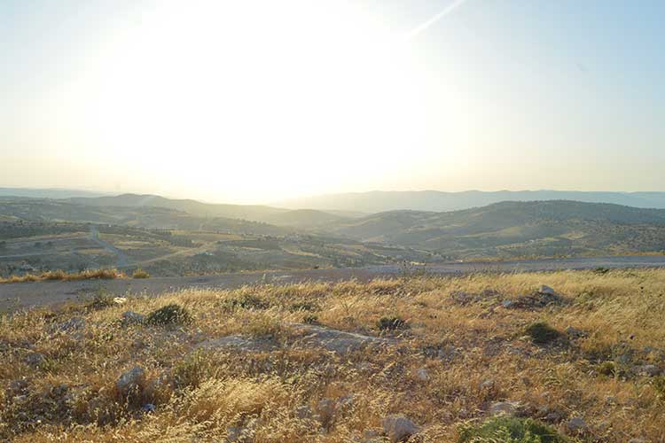 أرض 4 دونمات للبيع في الكمشة موقع مطل