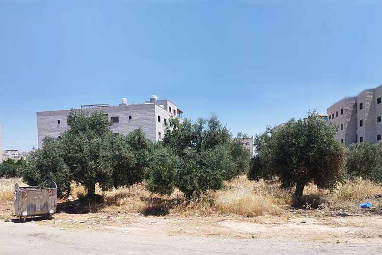 أرض  930 م للبيع في شفابدران مقابل الجامعة التطبيقية