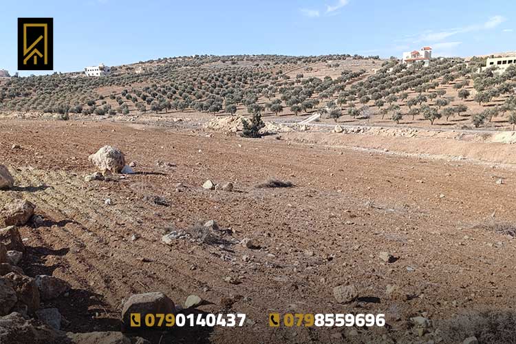 أرض 500 م للبيع في شفا بدران المقرن تغطيها قطعة عن شارع الأربعين 