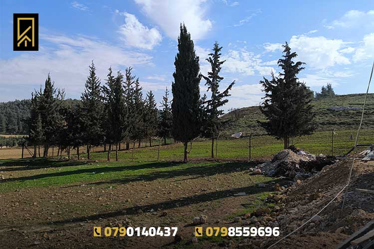 أرض 810م للبيع في ام الكندم خلف المدارس العالمية 