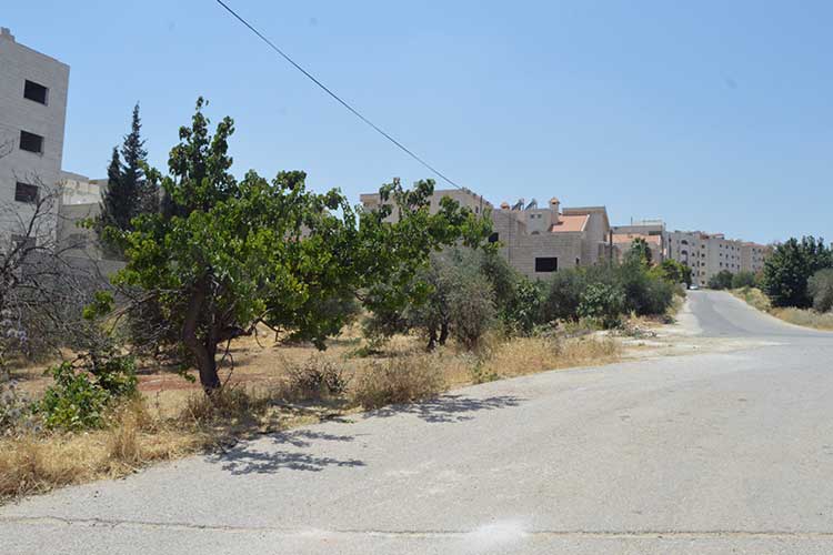 ارض للبيع 750 م في شفابدران ذهبية