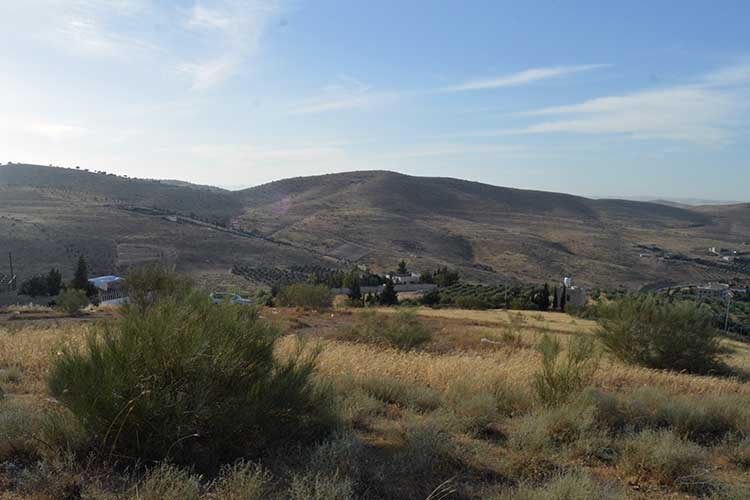 أرض 48 دونم للبيع في بيرين الخله