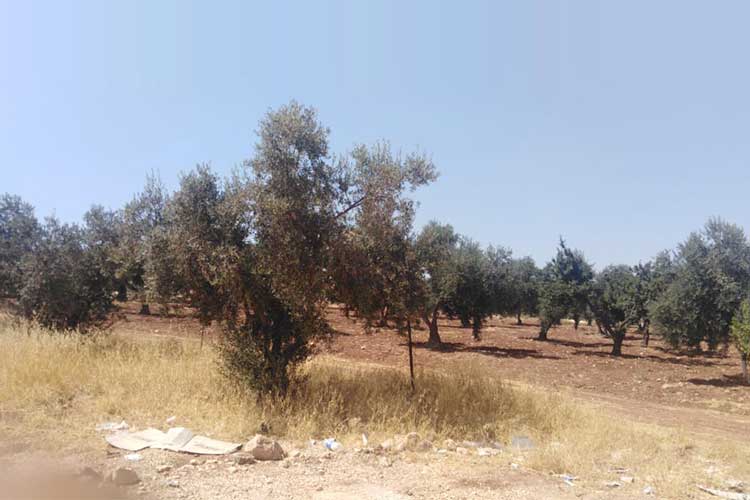 ارض بمساحة 750 م للبيع في شفابدران المقرن  بالقرب من الشارع الرئيسي 