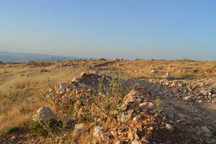 أرض 4 دونمات للبيع في الكمشة موقع مطل