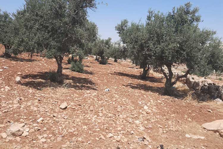 ارض بمساحة  856 م للبيع في شفابدران حوض المقرن