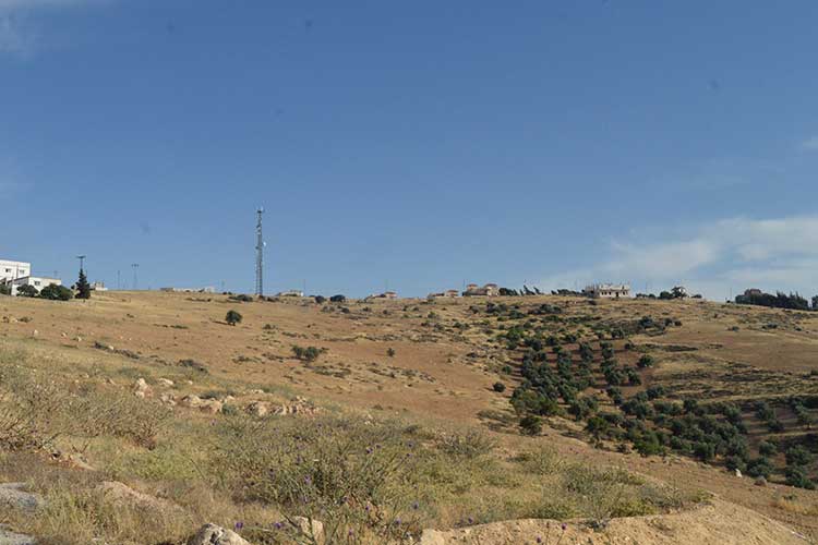 أرض 133 دونم للبيع في ام رمانه موقع مرتفع