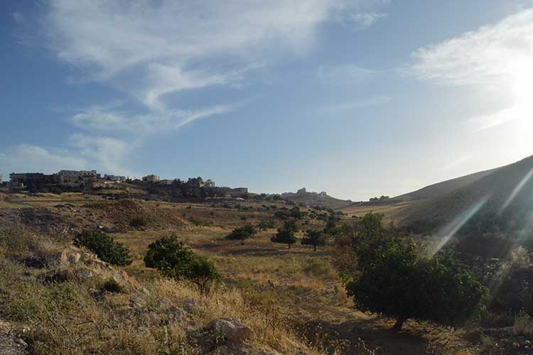 أرض مساحتها  2000 م للبيع  في شفابدران ام العروق