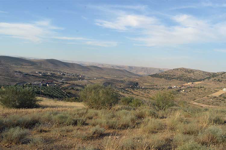 أرض 48 دونم للبيع في بيرين الخله