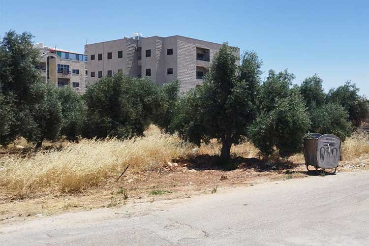 أرض  930 م للبيع في شفابدران مقابل الجامعة التطبيقية