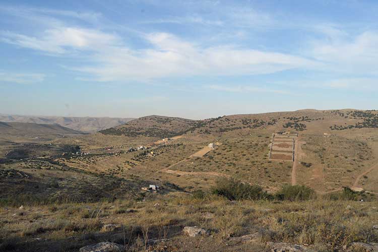 أرض 48 دونم للبيع في بيرين الخله